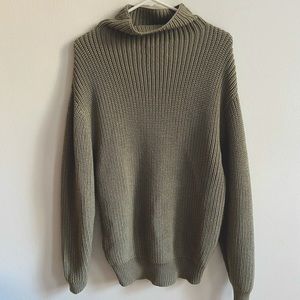 Aritzia Montpellier Turtleneck in Dry Basil Green